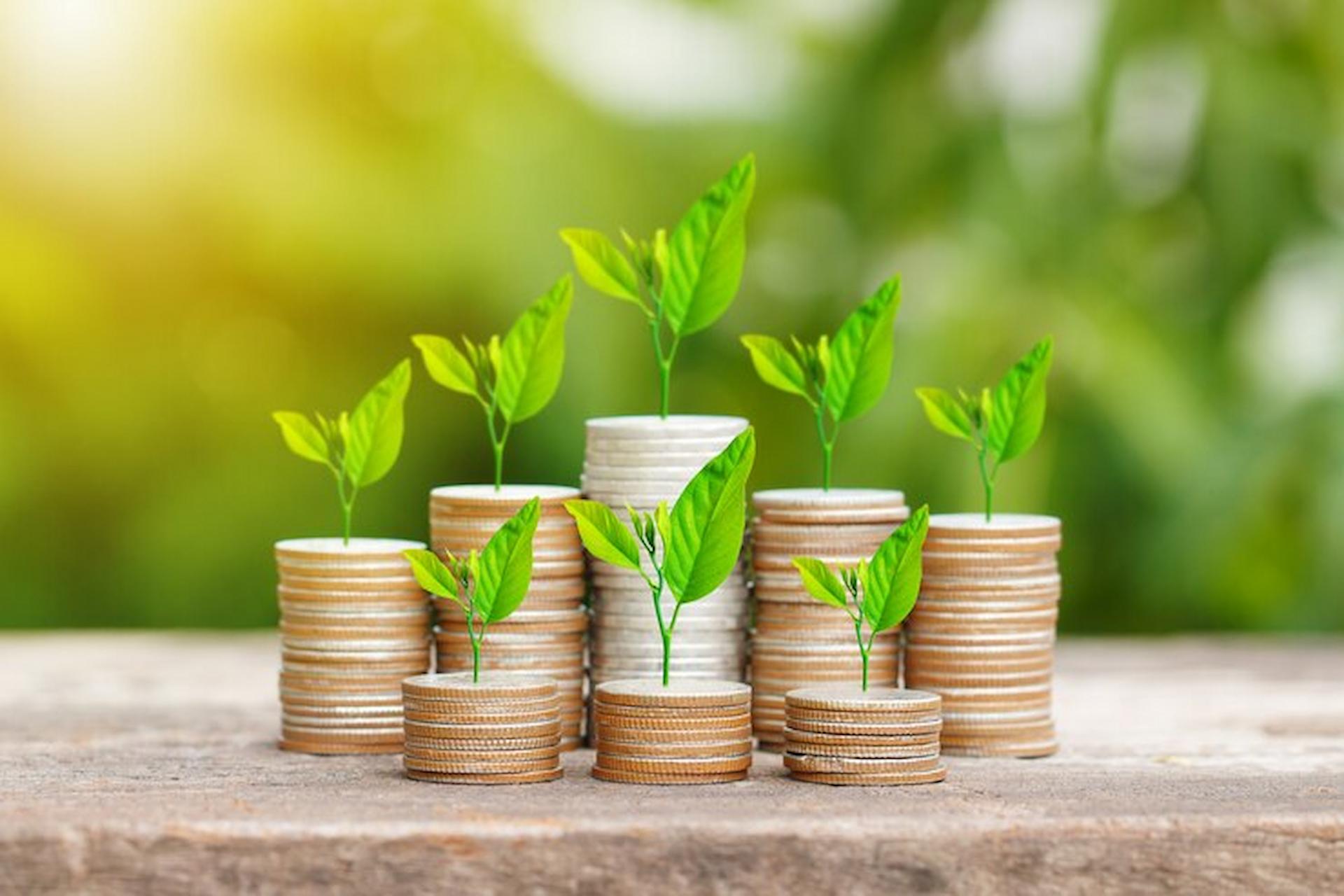 The Emergence of ESG Mutual Funds: Investing with Purpose