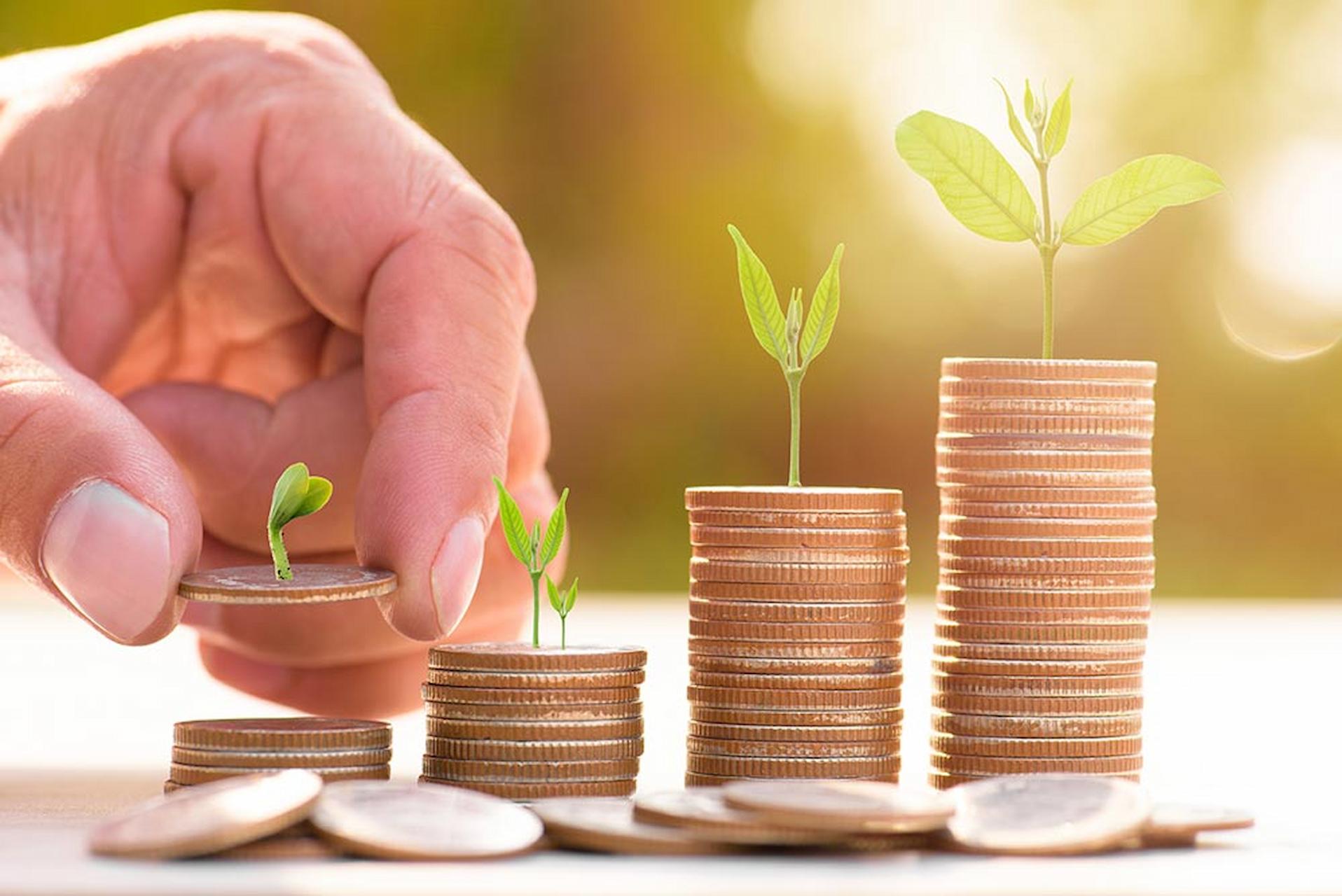 How CLN’s Are Being Utilised For A Speedy ROI