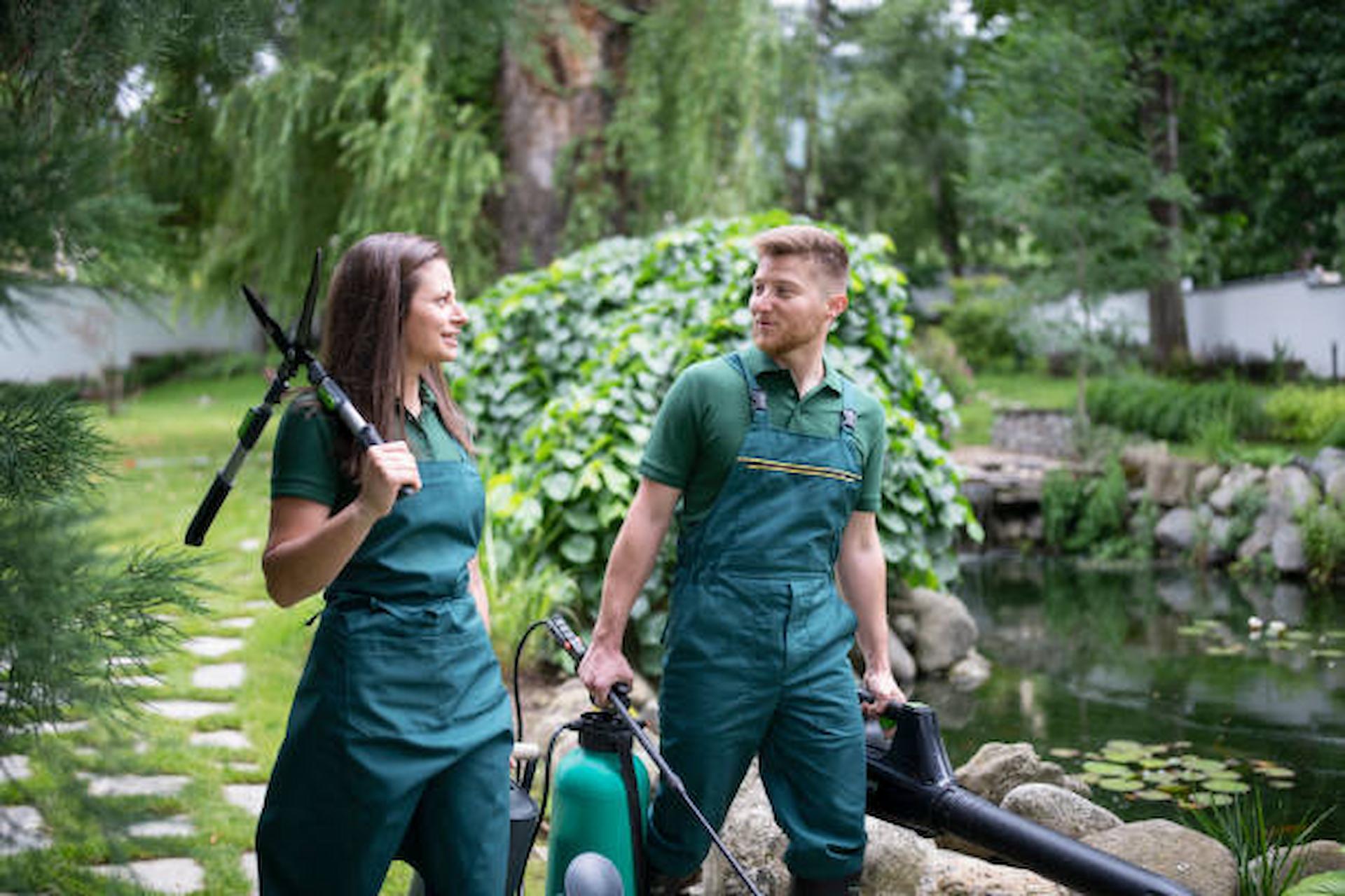 Is It Worth To Hire A Tree Surgeon For Your Garden And Property?